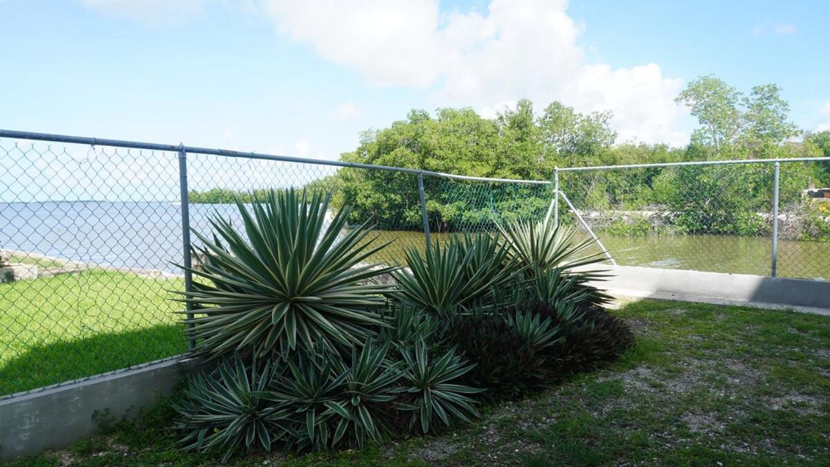 Sunrise 2-Bed Sea View Studio Near Airport With Infinity Pool & Deck, Ground Floor Belize City Exterior foto